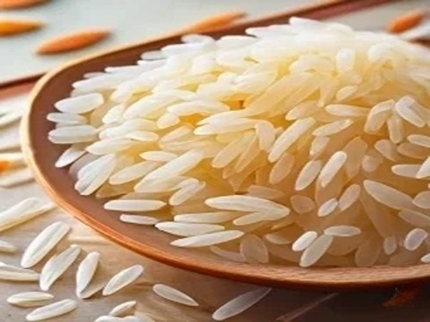 خرید و فروش برنج چمپا ممتاز با شرایط فوق العاده